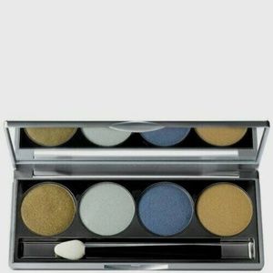 NEW Sue Devitt eyeShadow Quad - Icelandic Fjord